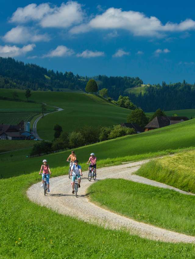 Dr gross Sumiswauder