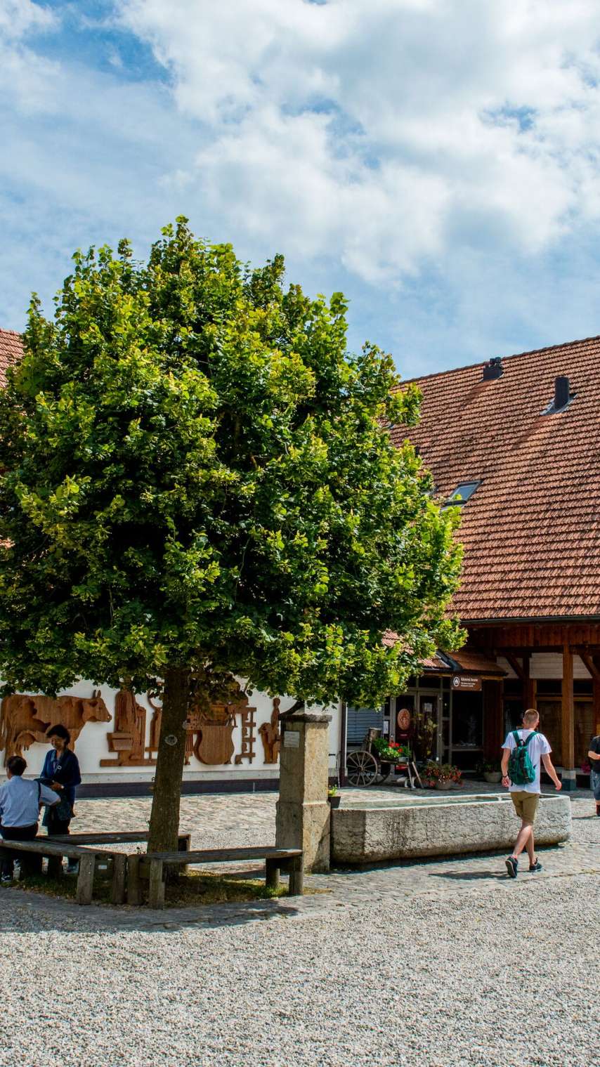Erlebniswelt Emmentaler Schaukäserei