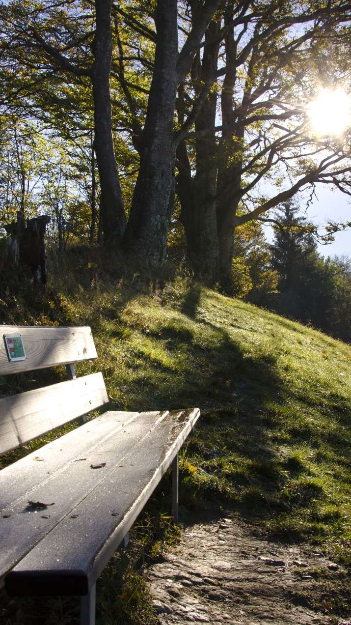 Lüderenalp, Wasen i.E