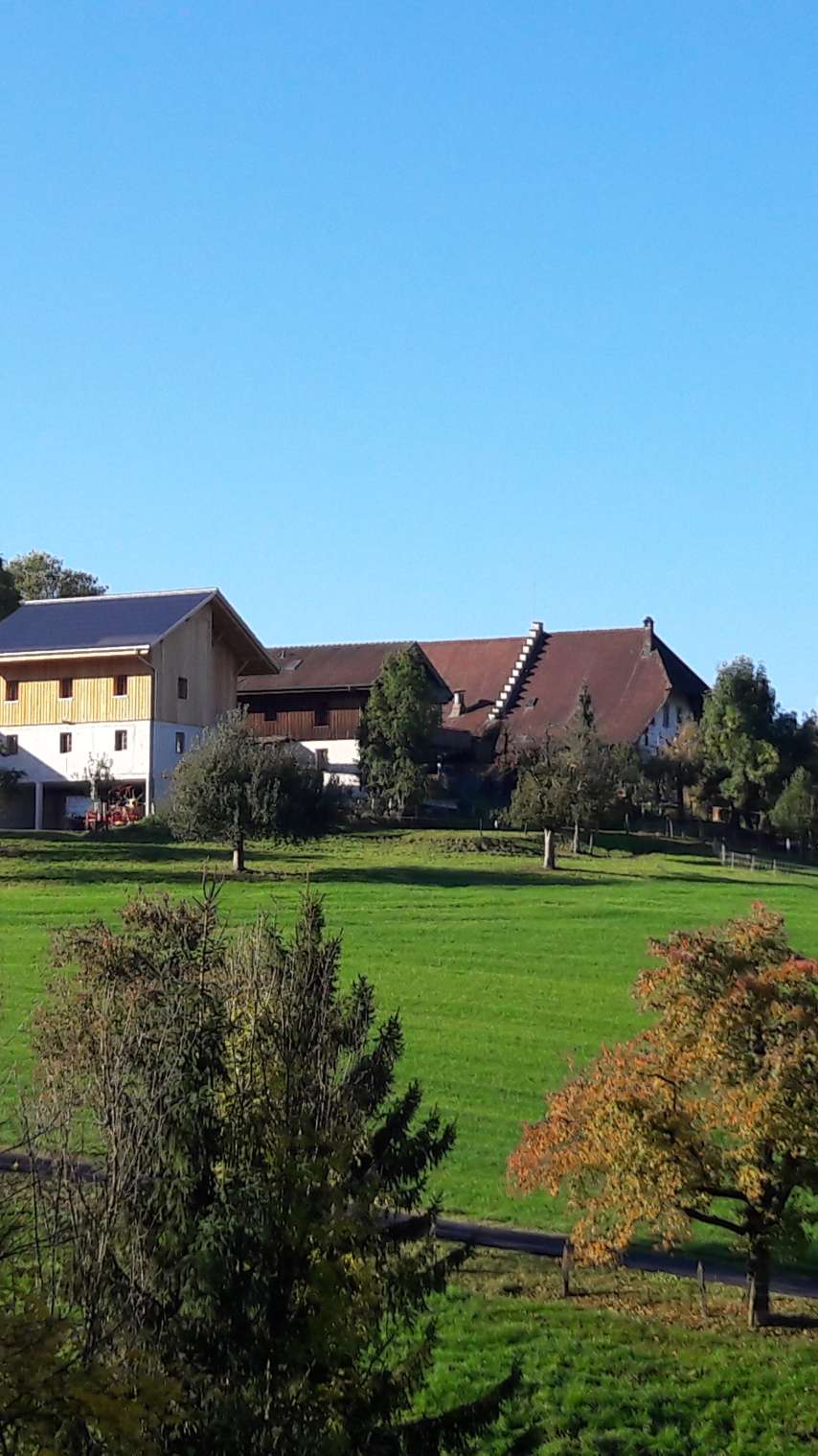 Bauernhof Bättwil, Burgdorf