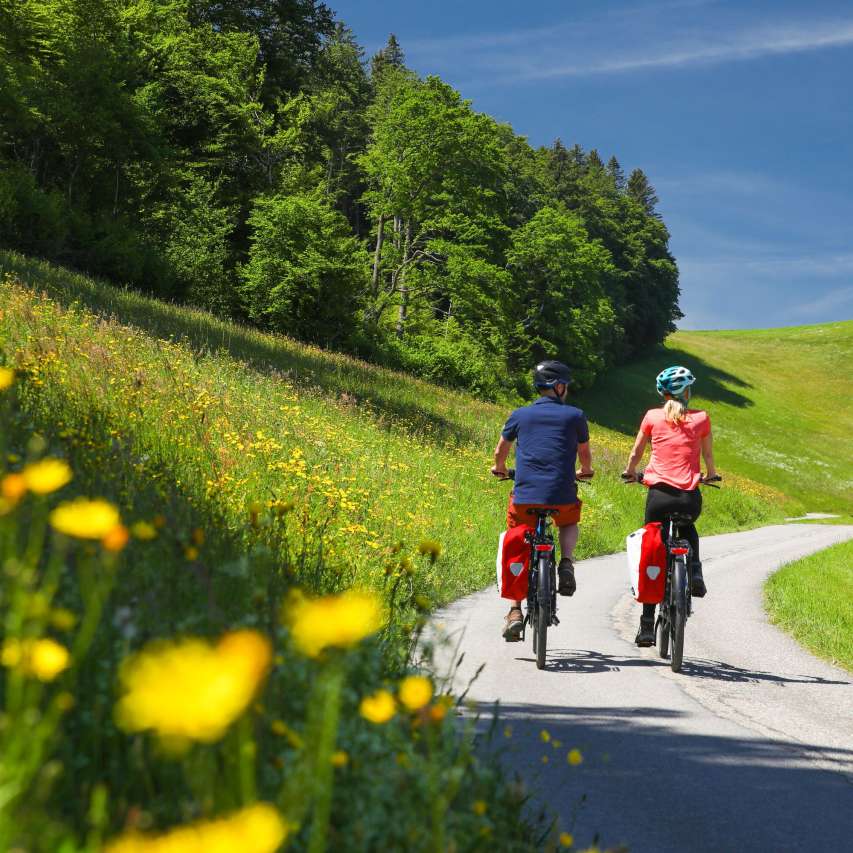 E-Bike Hub Emmental