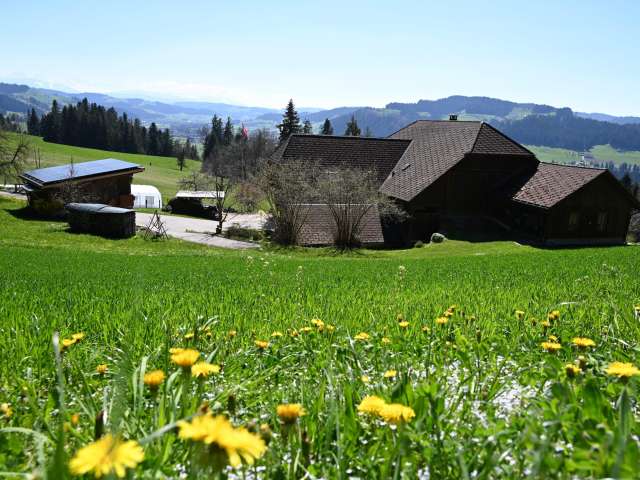 Ferienwohnung Benzenberg, Ranflüh
