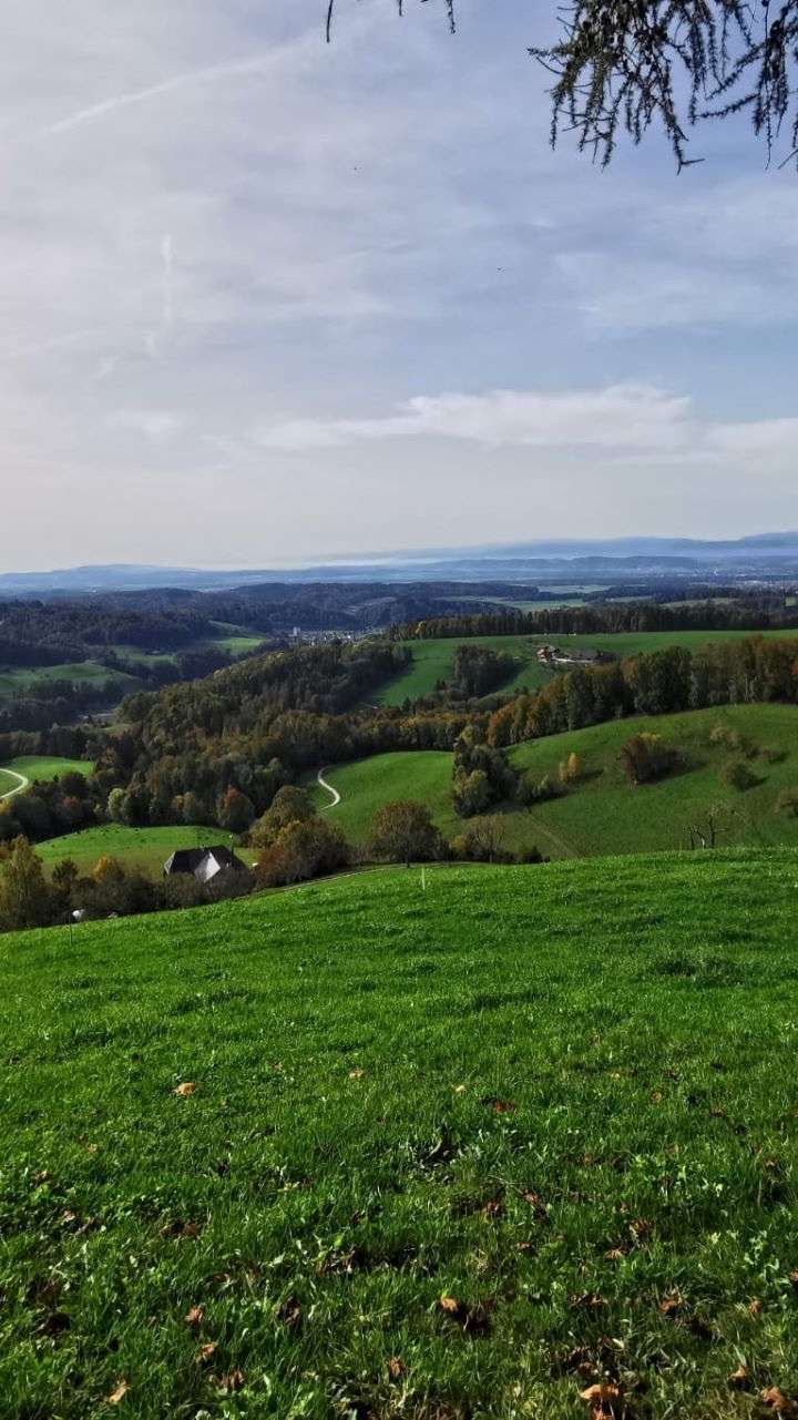 Oberbühlchnubel, Wynigen