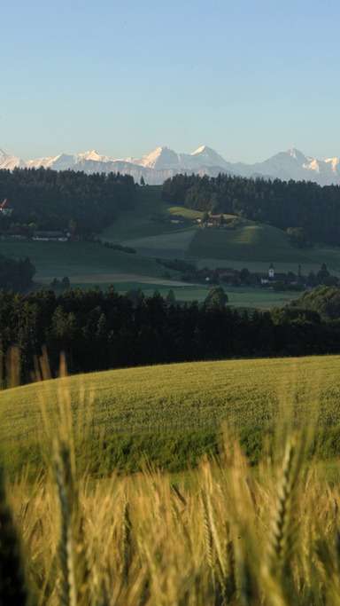 Sädelchehr, die kurze Sumiswalder Genusstour