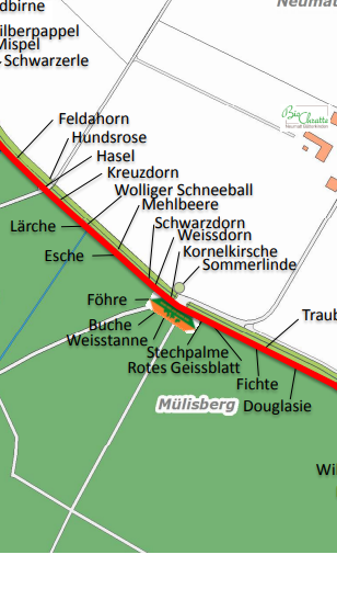 Baum- und Strauchlehrpfad, Bätterkinden