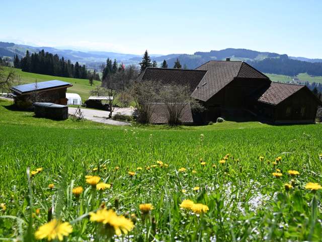 Ferienwohnung Benzenberg, Ranflüh