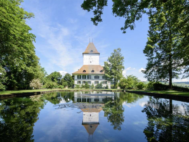 Schloss Wyl