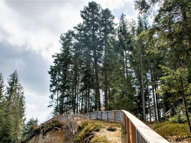 Blasenfluh, Oberthal