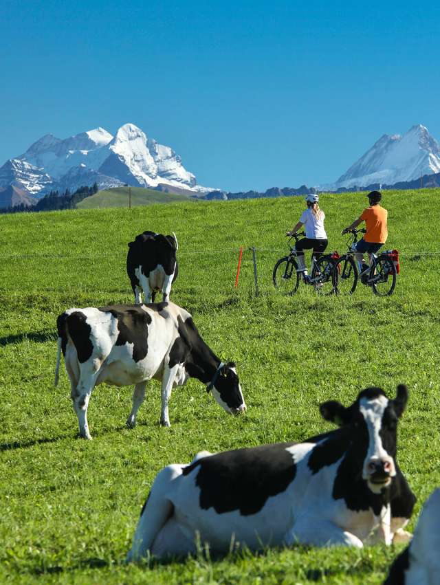 Herzschlaufe Langnau