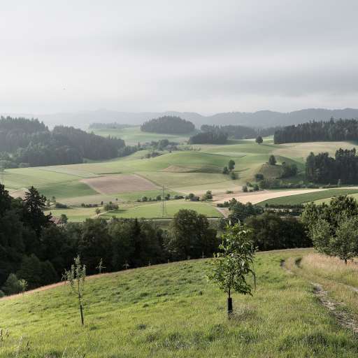 Swiss Historic E-Bike Tour