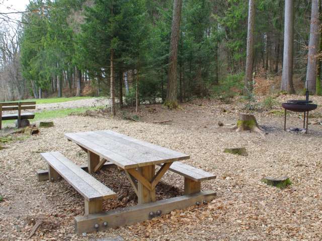 Brätlistelle Pleerwald-Siebenwegeplatz, Burgdorf