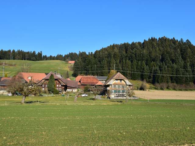 Ferienwohnung und B&B Siegenthaler, Zollbrück
