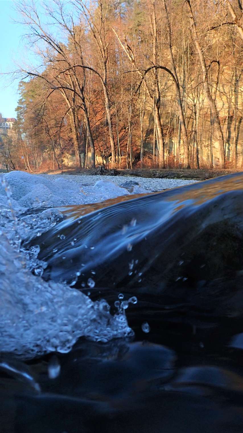 Fischlehrpfad, Burgdorf