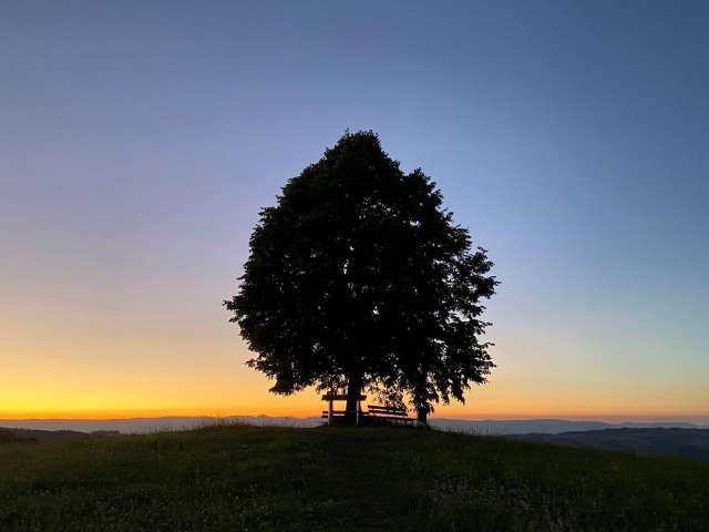 Aspi Linde, Obergoldbach, Aussichtspunkt