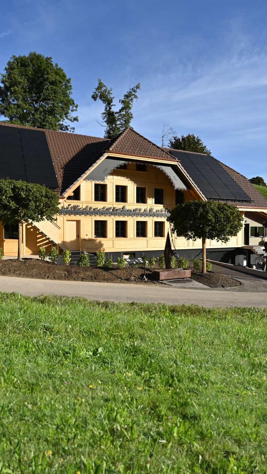 Blue-art Roggegratbad