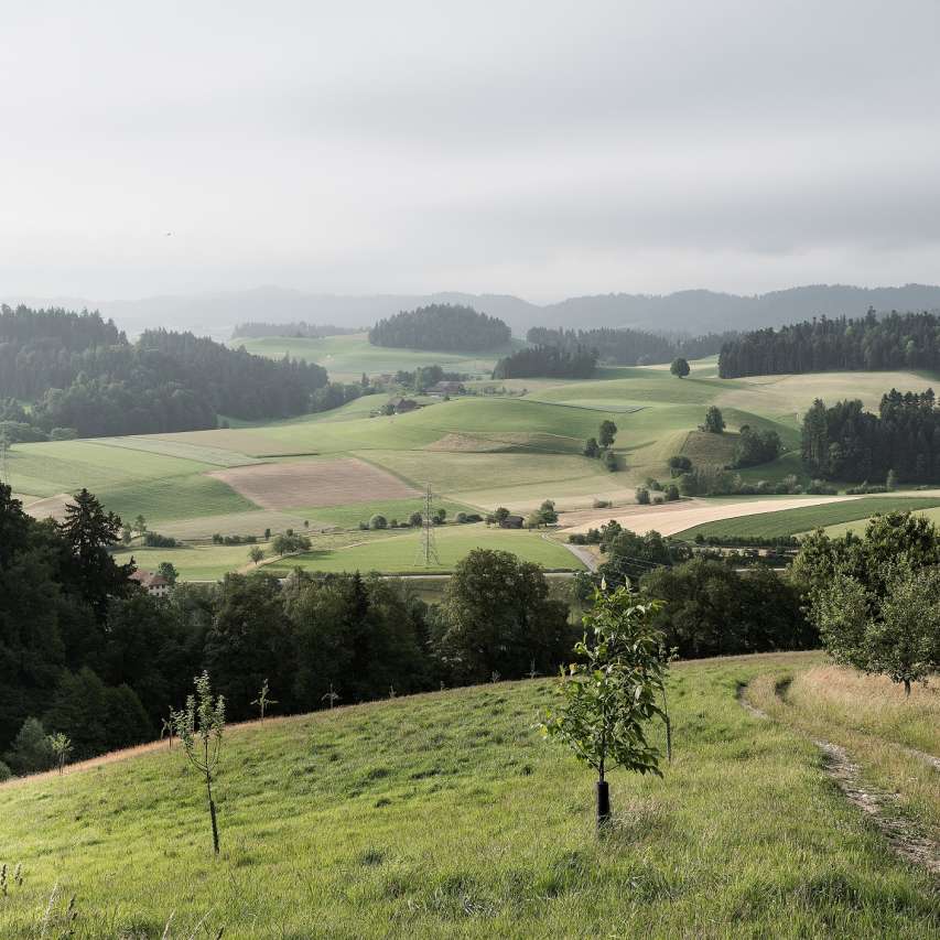 Swiss Historic E-Bike Tour