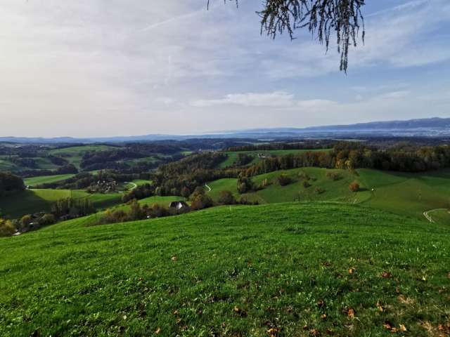 Oberbühlchnubel, Wynigen